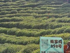 -西湖风景区十里琅珰-五云山