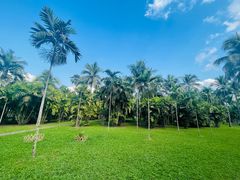 -中国科学院西双版纳热带植物园