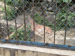 -大连森林动物园