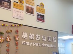 -格蕾宠物医院24H·猫科·肿瘤科·骨科中心(福州总院)