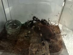-洛阳龙门海洋馆