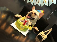 -百好乐宠物友好餐厅(朝外大街店)