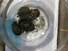 -亨得利名表服务中心(上海湾店)