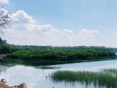 -丁香湖公园