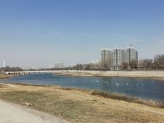 -北运河水利风景区
