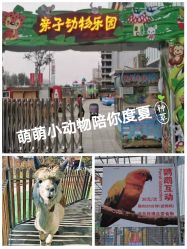 -萌宠亲子动物乐园(槐房万达店)