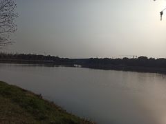 -广富林郊野公园