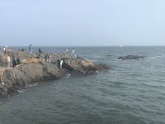 -兴城海滨风景区