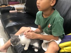 -瑞派宠物医院(搏威敦和院)