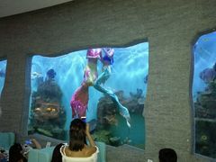 -瑞德姆美人鱼海底演艺主题餐厅(亚龙湾店)