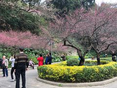-乌山风景区