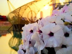 -海心沙亚运公园