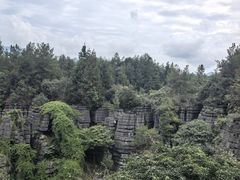 -梭布垭石林景区