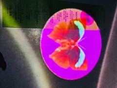 -良设夜宴 LIANGSHE