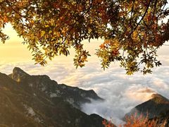 -少华山国家森林公园