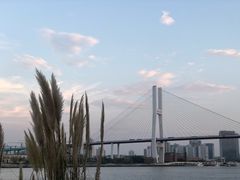 -摆渡站(董家渡站)