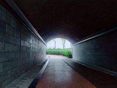 -西安曲江寒窑遗址公园