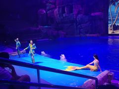 -芜湖新华联大白鲸海洋公园