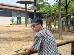 -灵玲国际马戏城
