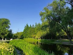 -上海共青森林公园