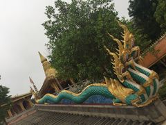 -西双版纳勐泐文化旅游区