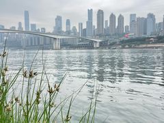 -龙湖·春森彼岸