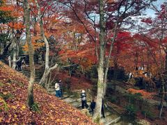 -常寂光寺