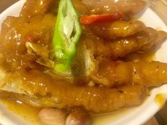 -南枝记