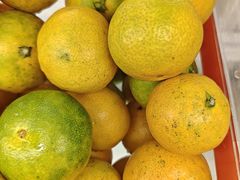 -醉得意·山茶油炒土鸡(福州马尾西堤店)