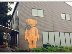 -济州岛泰迪熊博物馆