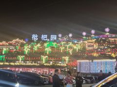-枇杷园食为鲜火锅(南山店)