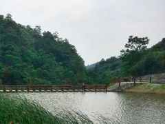 -梅岭月亮湾山体公园