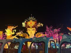 -淄博花灯齐彩城