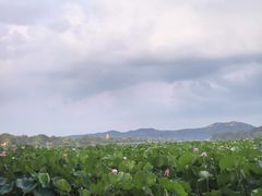 -北山街历史文化街区
