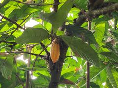 -歌斐颂巧克力小镇