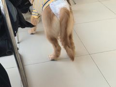 -怪兽屋·羊驼·猫咖·狗咖(俊华广场店)