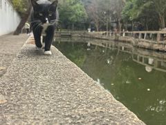 -西园寺素食(西园弄戒幢律寺店)