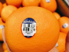 -上海龙吴水胜海发市场