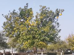 -浙江大学(紫金港校区)