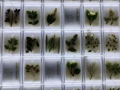 -广东中医药博物馆