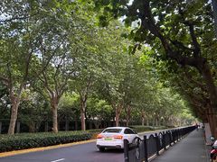 -碧云国际社区·晓园