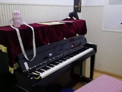 -刘诗昆艺术学校(一品天下校区)
