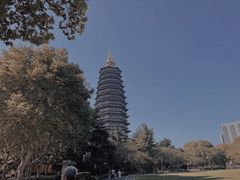 -红梅公园
