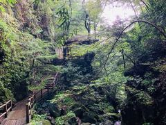 -藏龙百瀑风景区