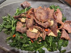 -滇野云南野生菌餐厅(陕西南路店)