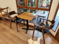 -有猫主题·治愈系猫咖(曾厝垵店)