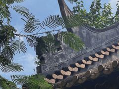 -顺峰山公园