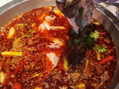 红锅锅底-蜀滋香鲜鱼美蛙火锅(339店)
