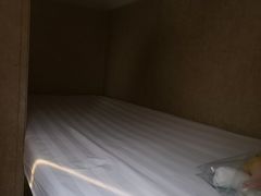 -崇明东平国家森林公园烧烤房车露营地