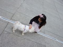 -四川省成都市彭州市白鹿镇